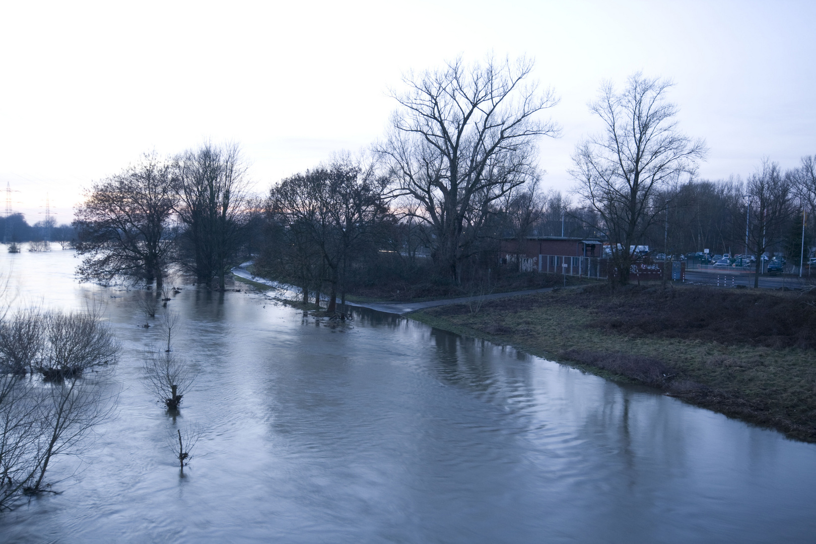 Sieghochwasser Januar 2011(3)