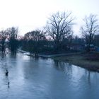 Sieghochwasser Januar 2011(3)