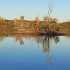 Sieglarer See mit Inselchen im Herbst