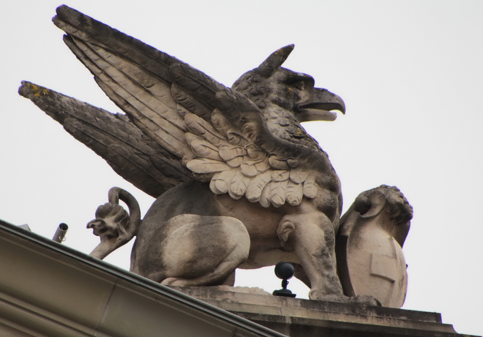 siegreicher Löwe-Adler