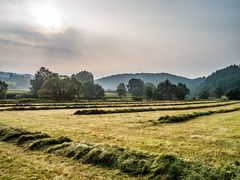 Siegtal bei Eitorf im Morgennebel