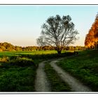 siegtal im herbst