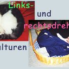 ...siehe Bild