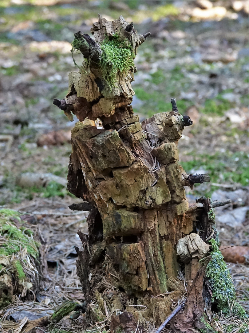 siehst du auch was ich sehe?