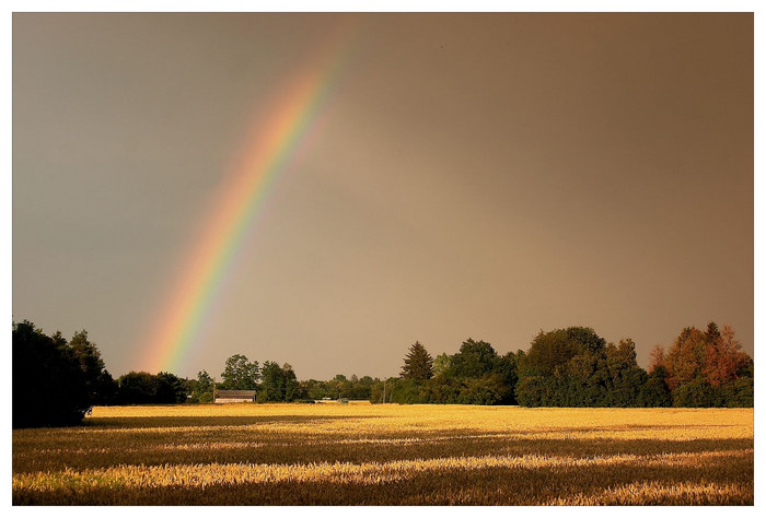 S.iehst Du den Regenbogen?