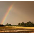 S.iehst Du den Regenbogen?