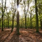 Sieht aus wie Frühling, ist aber Herbst.