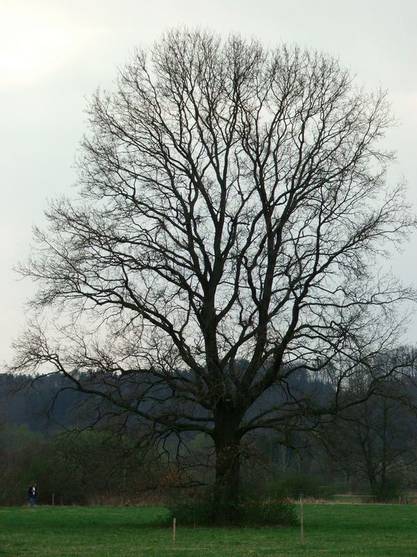 Sieht aus wie im Herbst