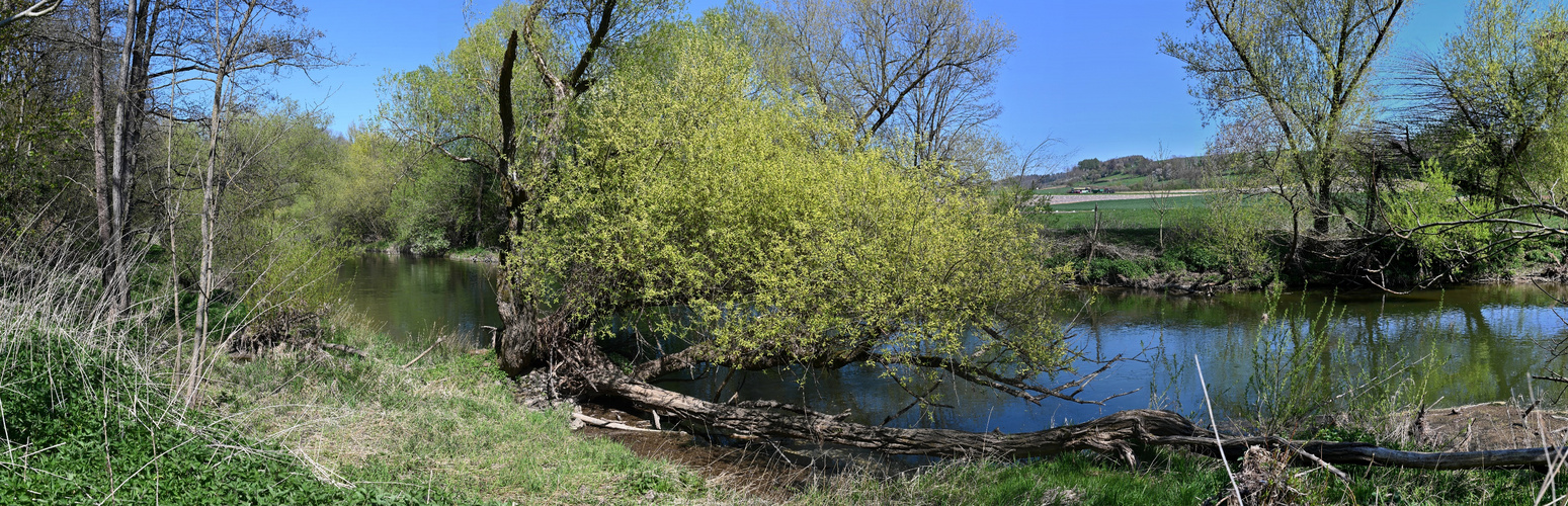 Sieht aus wie im Urwald