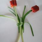 sieht aus wie tulpen :-)