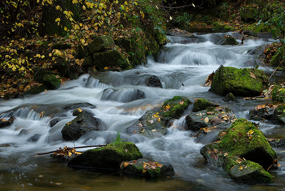 Sieht aus wie Wildwasser ....