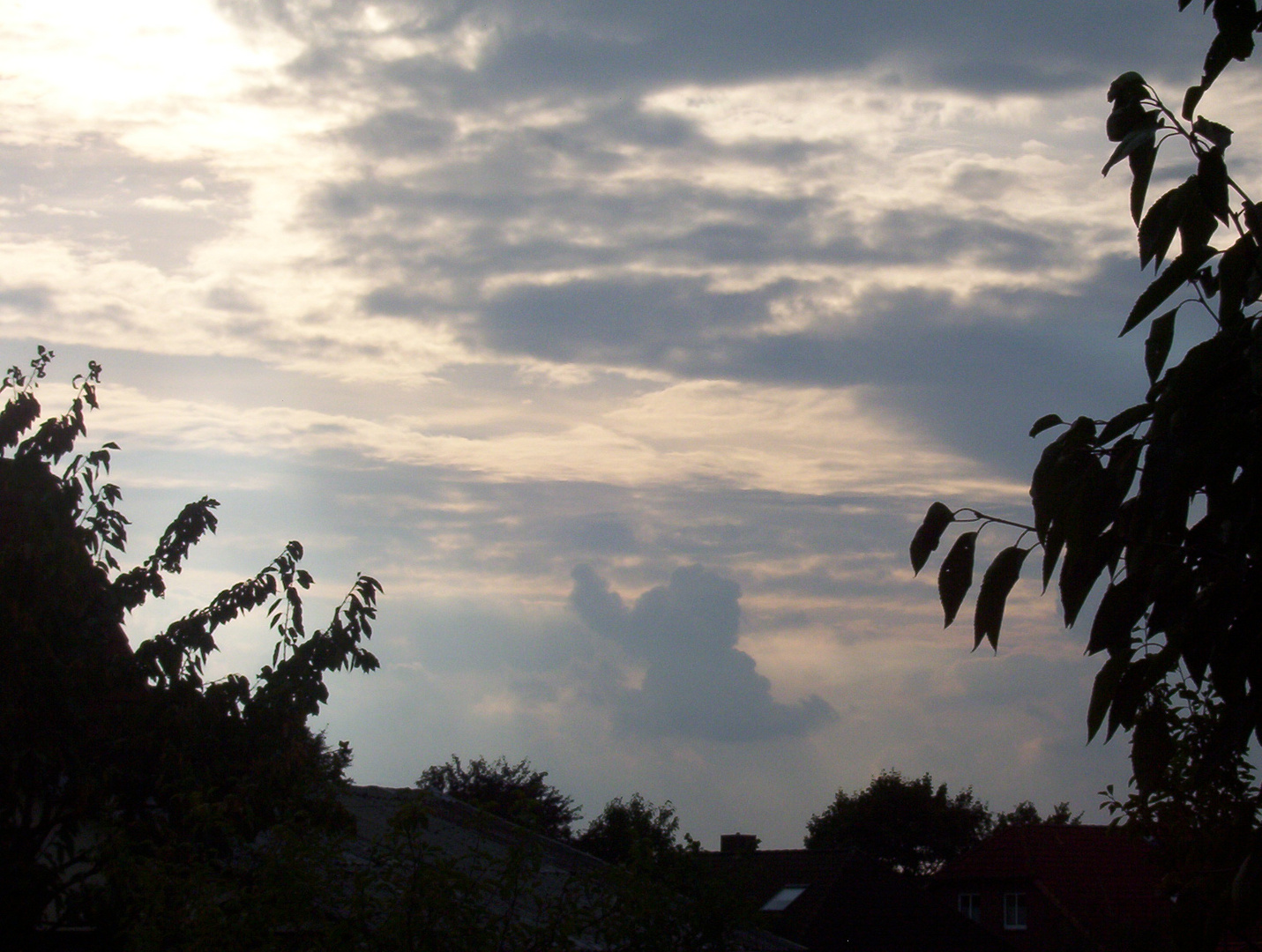 Sieht die Wolke nicht n`bisschen aus wie die Maus von Ulli Stein???