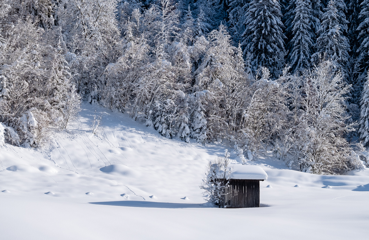 ... sieht irgendwie nach Wintermärchen aus