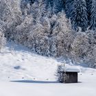 ... sieht irgendwie nach Wintermärchen aus