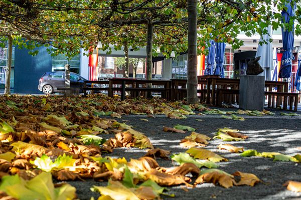 sieht man den Herbst..