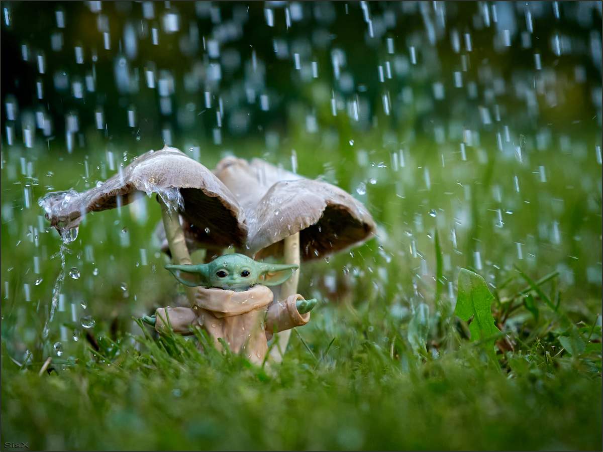 sieht nach Regen aus