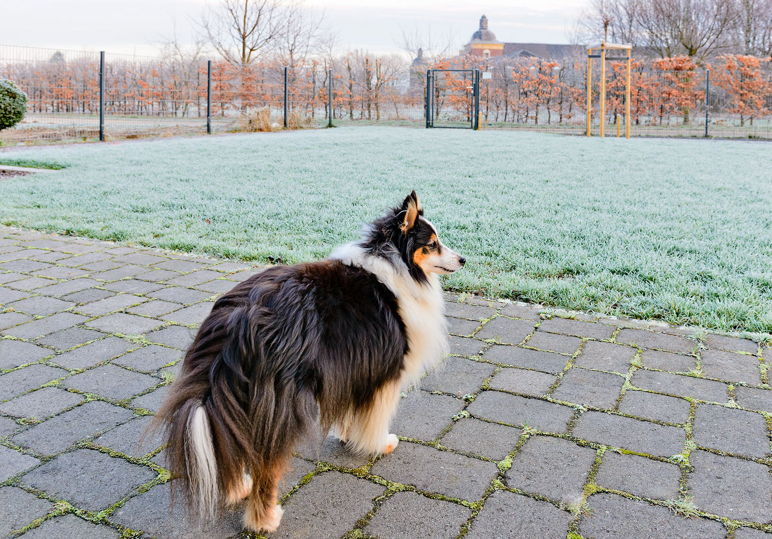 Sieht nach Winter aus