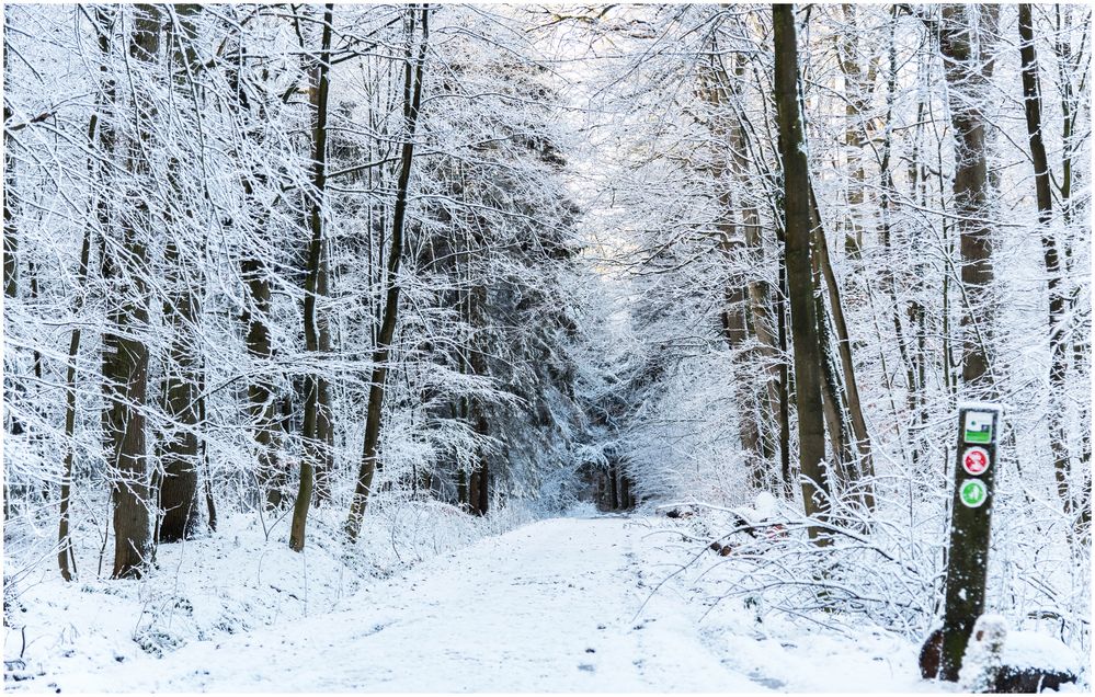 sieht richtig nach Winter aus