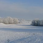 sieht schon jemand den Weihnachtsmann?