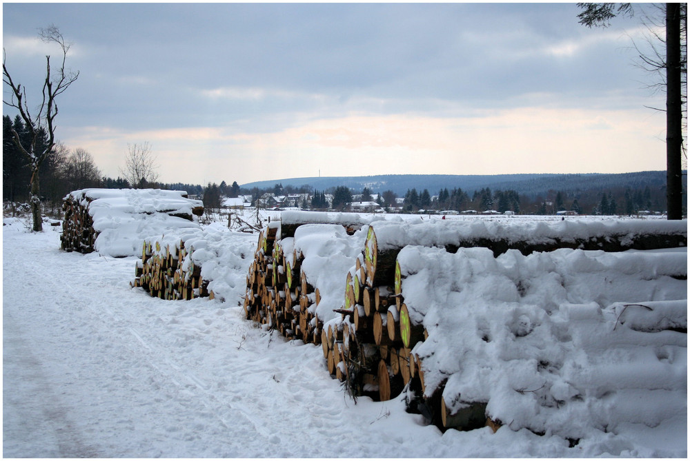 Sieht so der Frühling aus ?