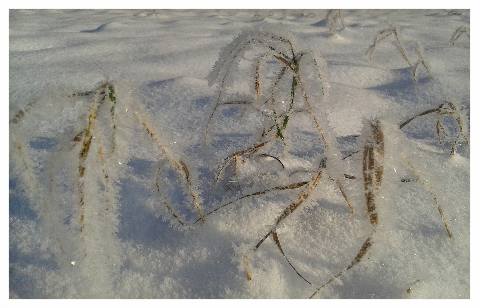 Sieht so der Frühling aus???