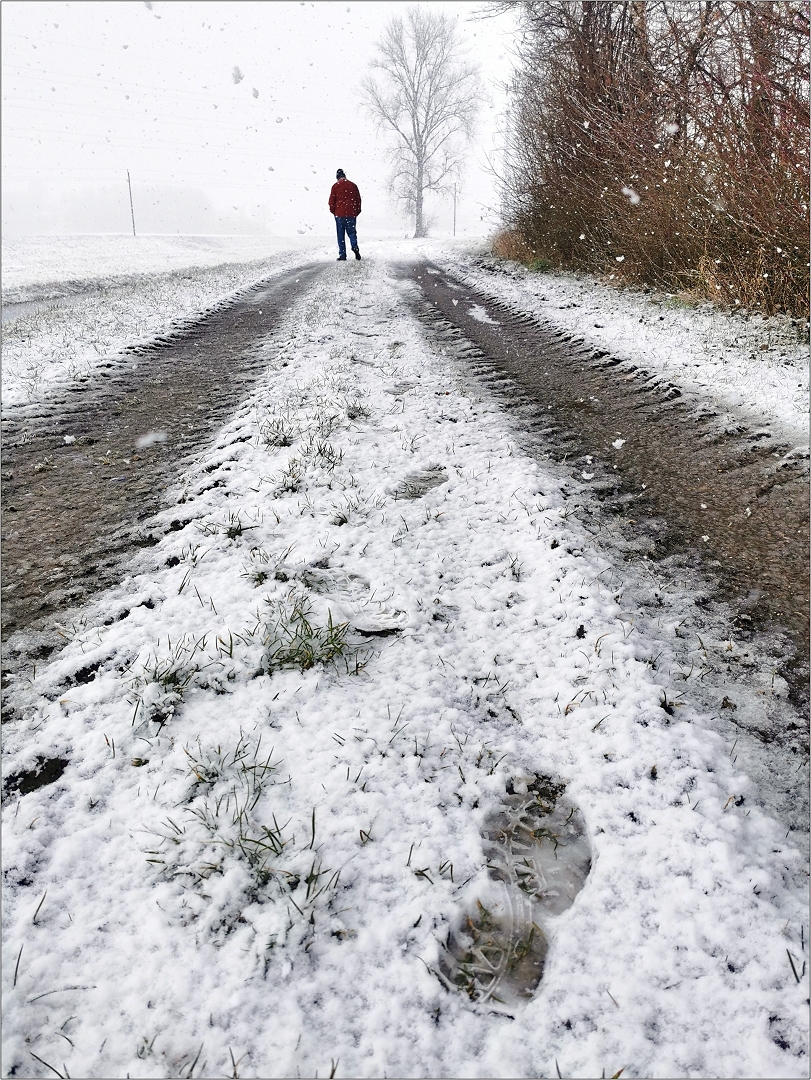 Sieht so Frühlingsbeginn aus?