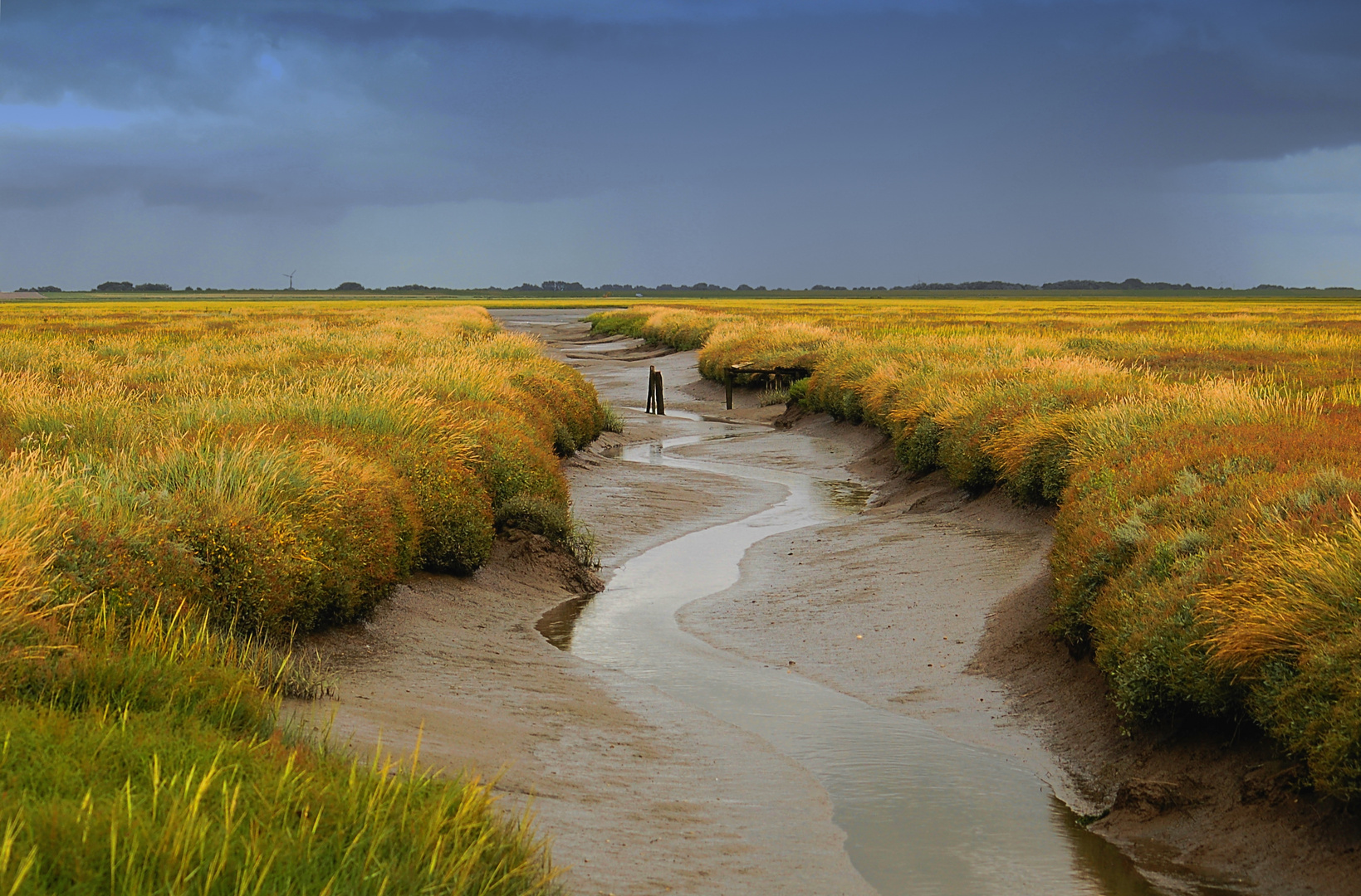 Siel bei Westerhever