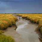 Siel bei Westerhever