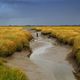 Siel bei Westerhever