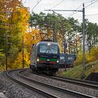 Siemens Vectron und Herbstfarben