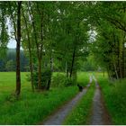 siempre juntos con Wicky-Emily paseando por los campos (immer mit Wicky-Emily unterwegs)