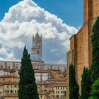 --- Siena #02 ---