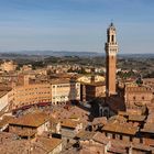 SIENA