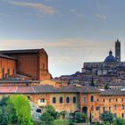 Siena