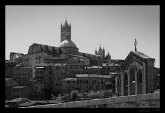 Siena (1)