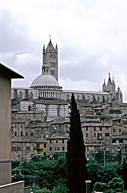 Siena (1) Blick auf Stadt und Dom