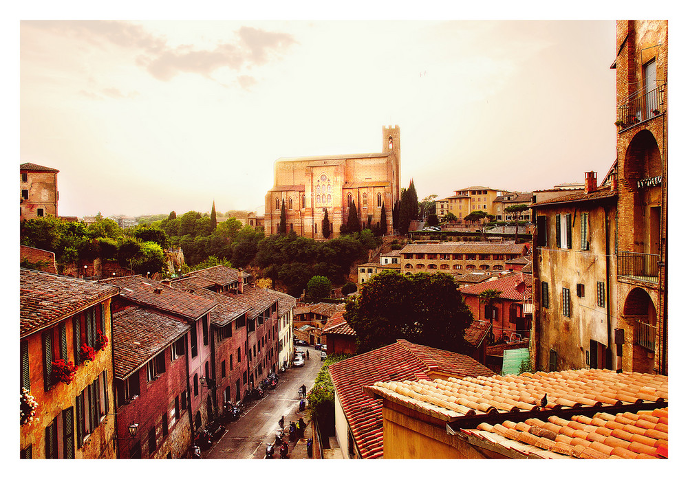 *SIENA*