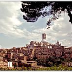 Siena