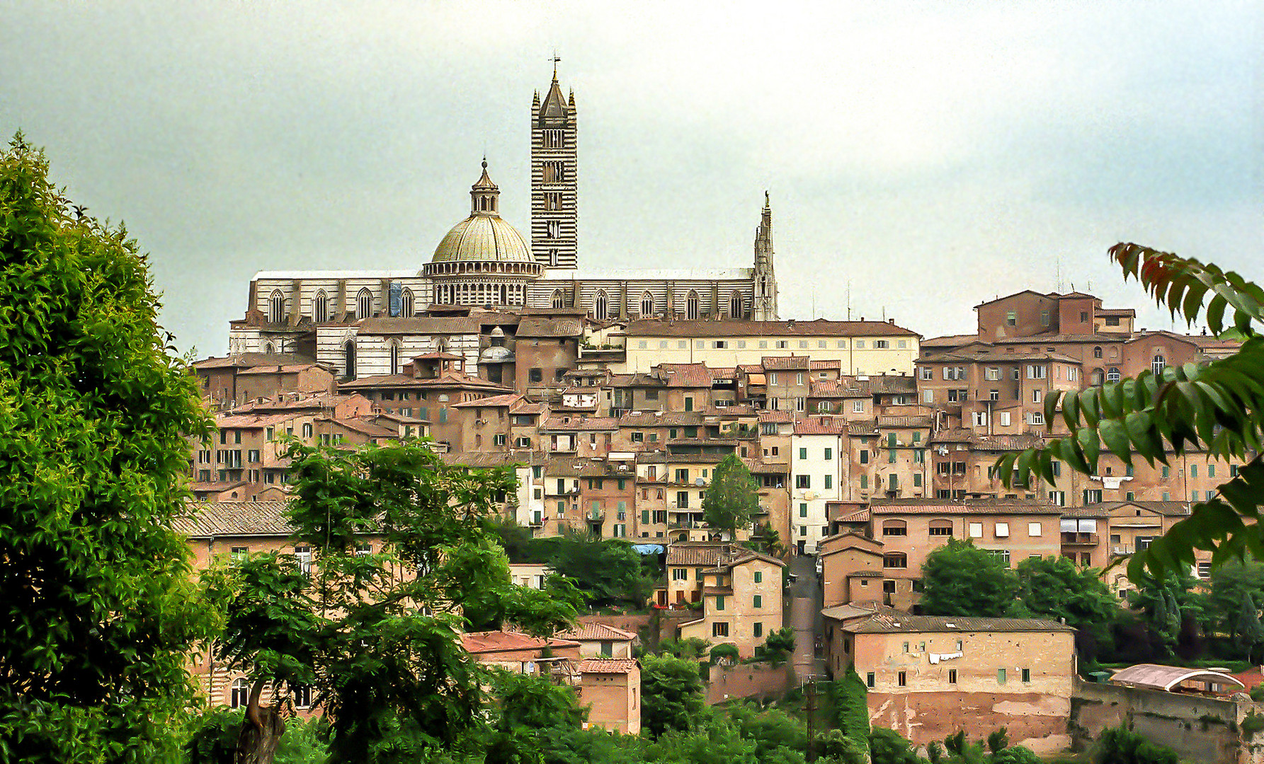 Siena 2