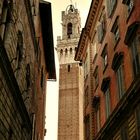 Siena