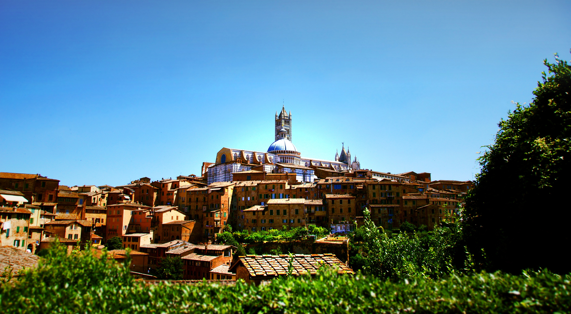 Siena