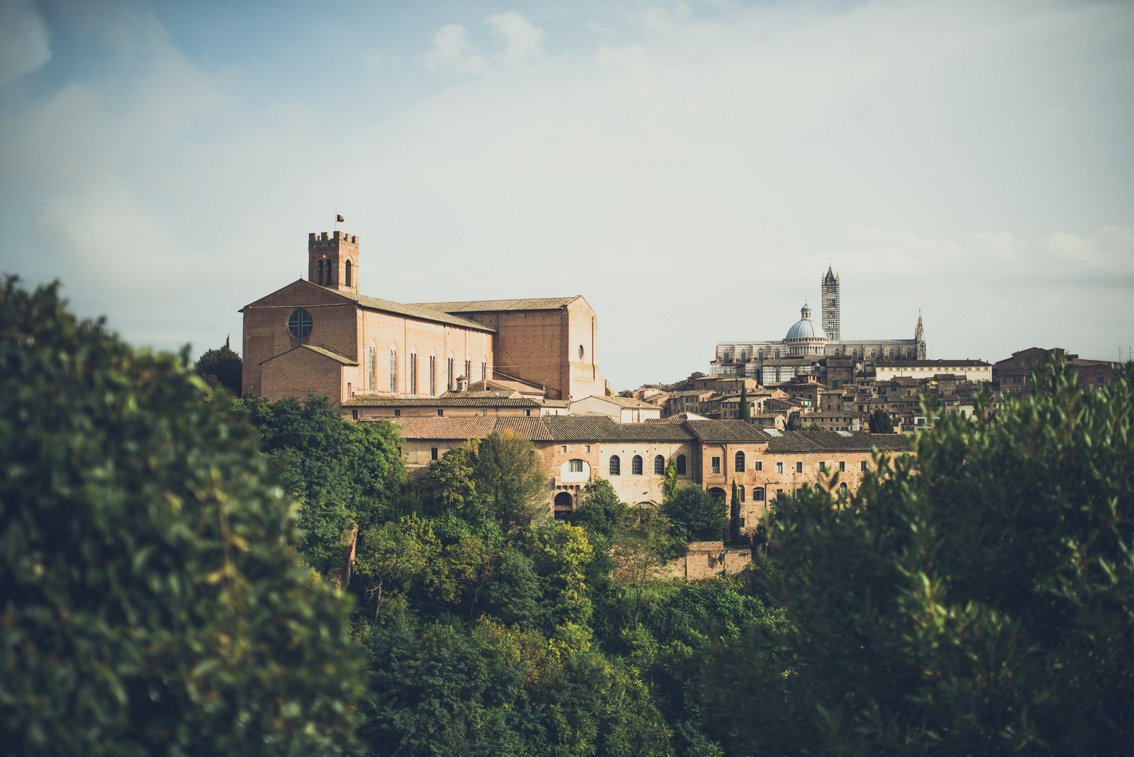 Siena