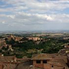 Siena