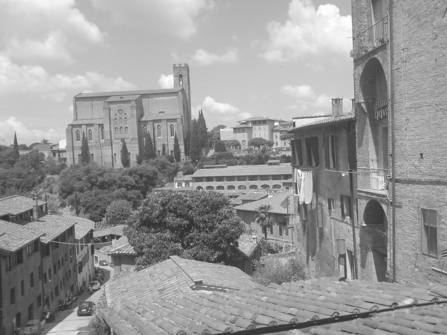 SIENA