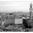 Siena