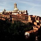 Siena