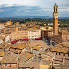 Siena