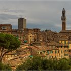 Siena