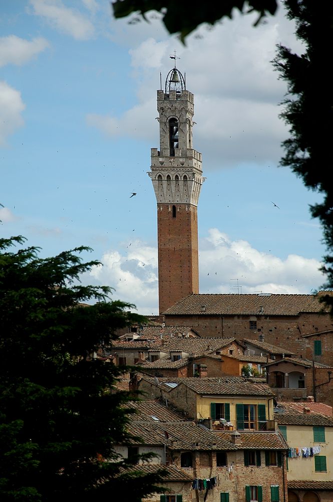 Siena