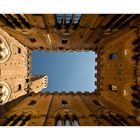 *¦* Siena *¦*